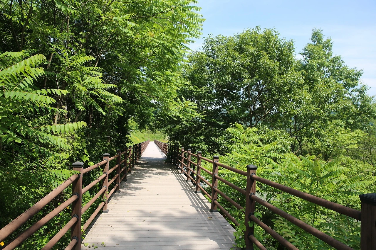 MG0A2164_новый размер.JPG