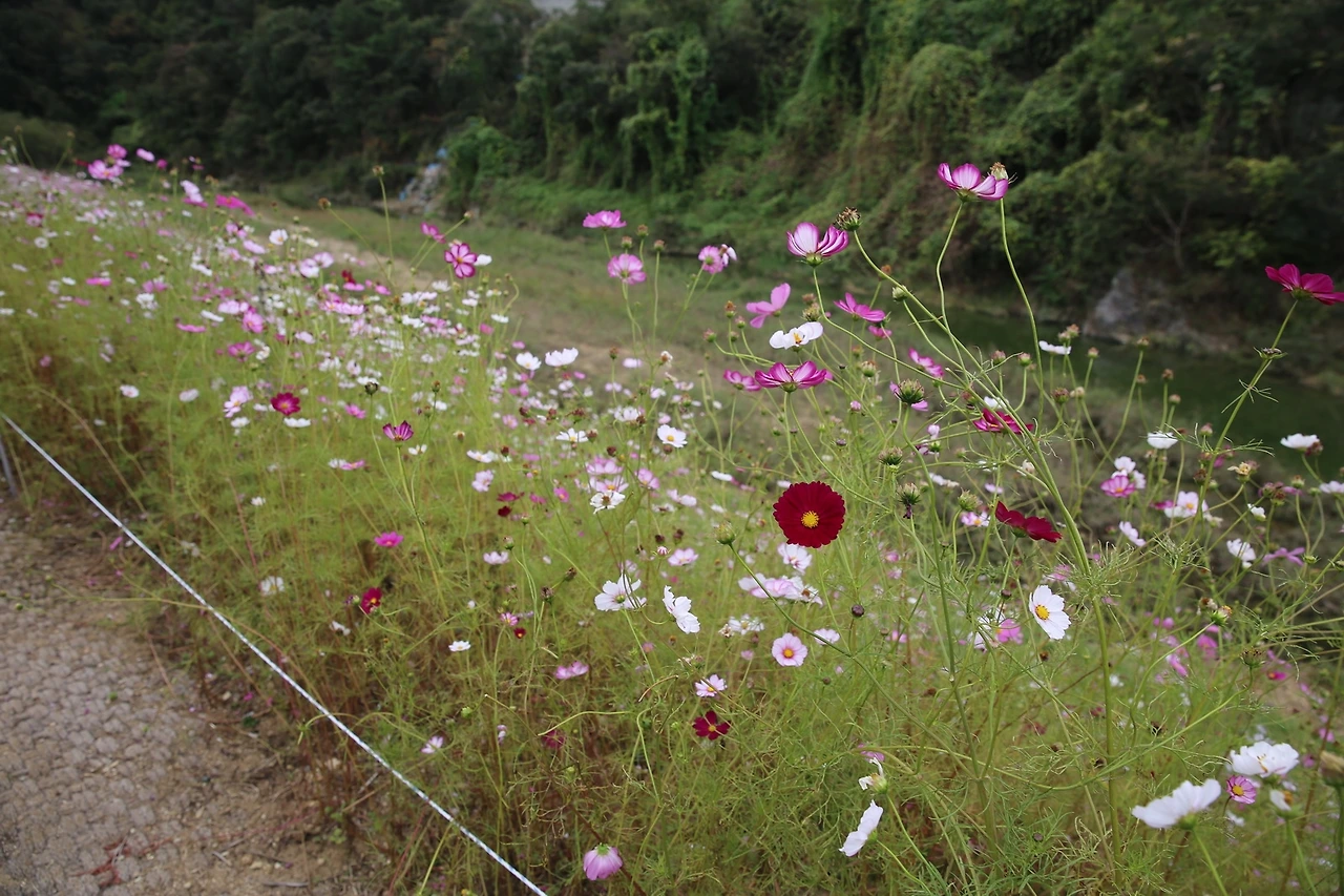 MG0A5521_новый размер.JPG