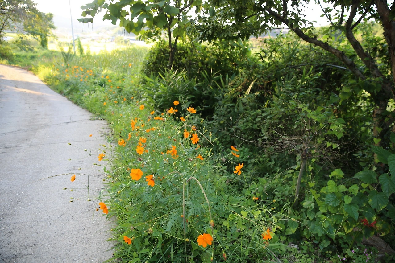 MG0A1371_новый размер.JPG