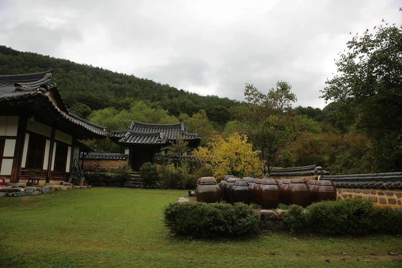 MG0A5871_новый размер.JPG