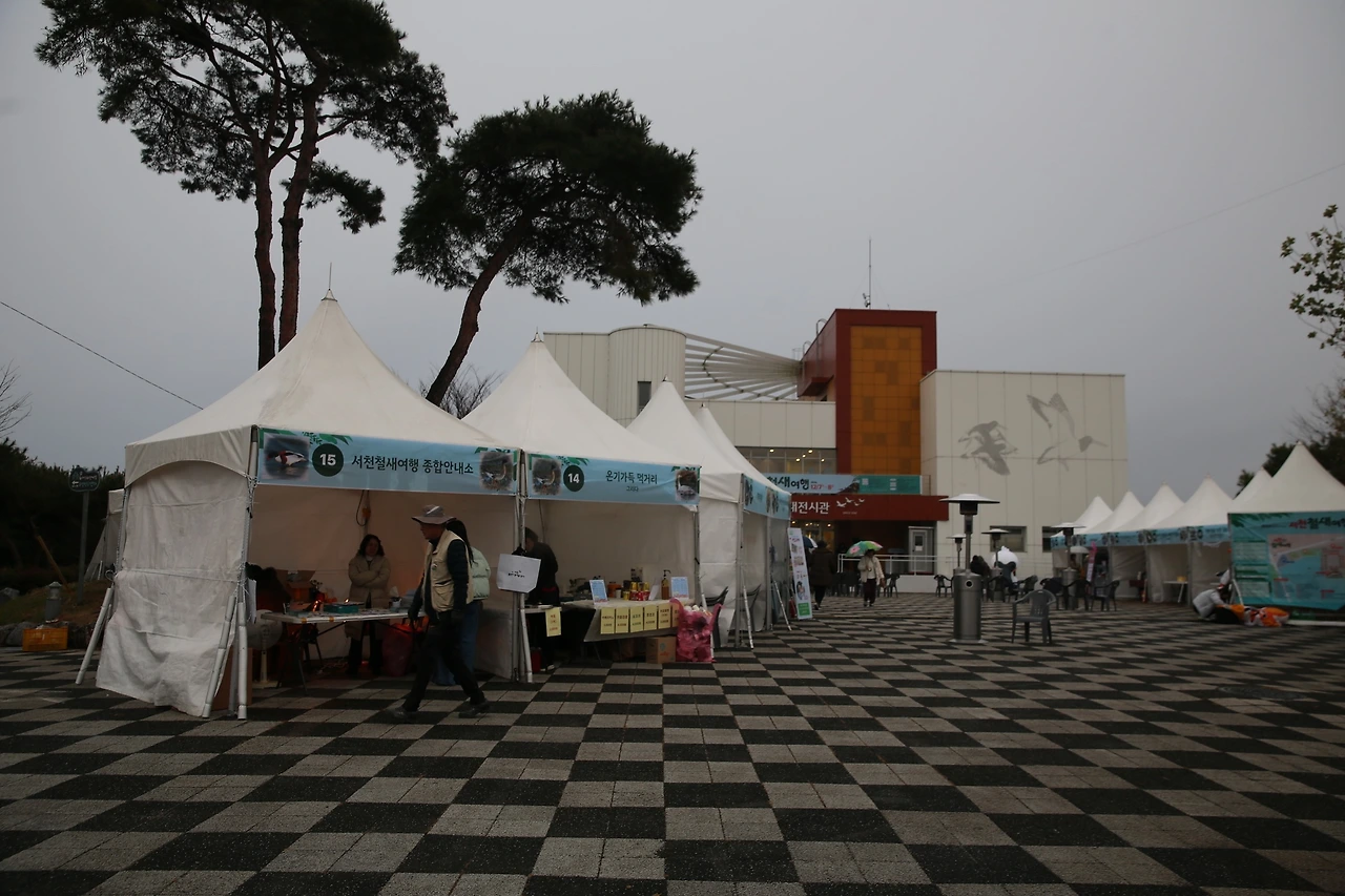 MG0A3538_новый размер.JPG