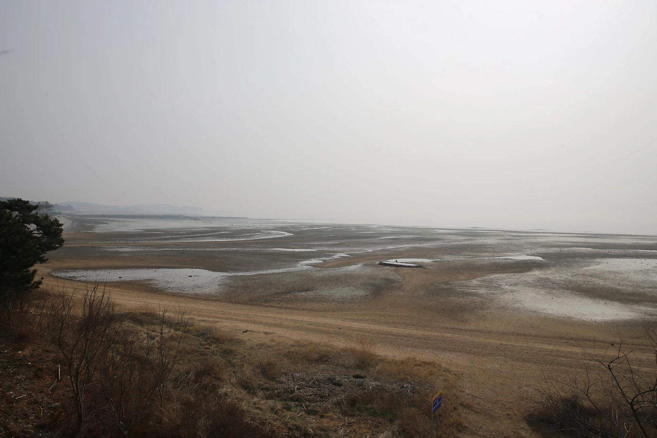 MG0A2204_новый размер.JPG