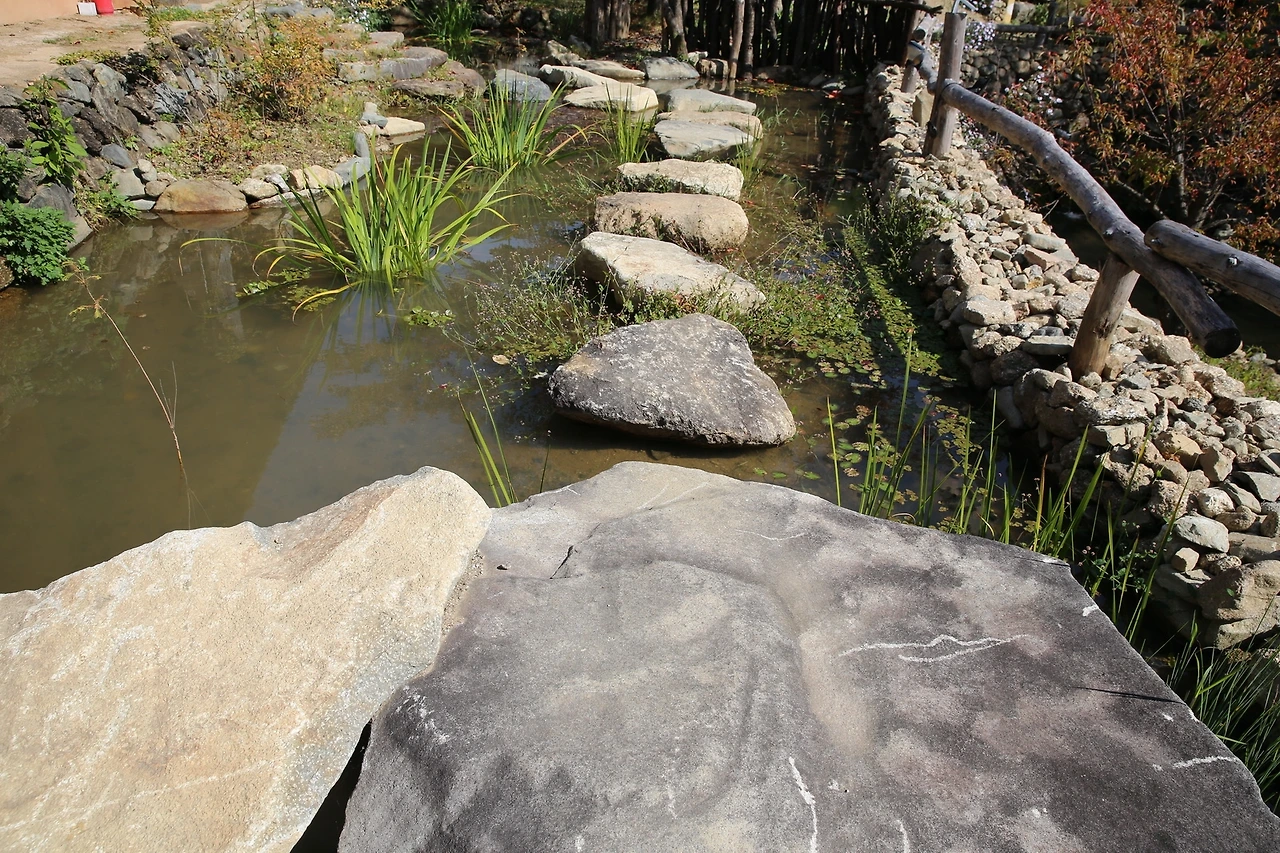 MG0A5718_новый размер.JPG