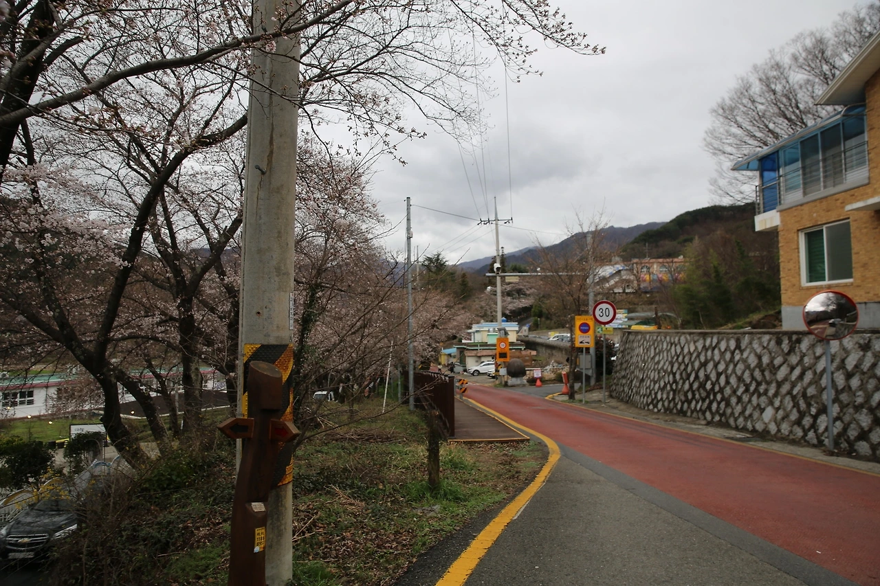 MG0A7254_новый размер.JPG