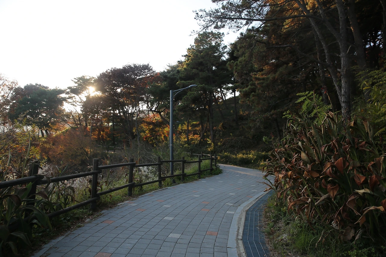 MG0A1380_новый размер.JPG