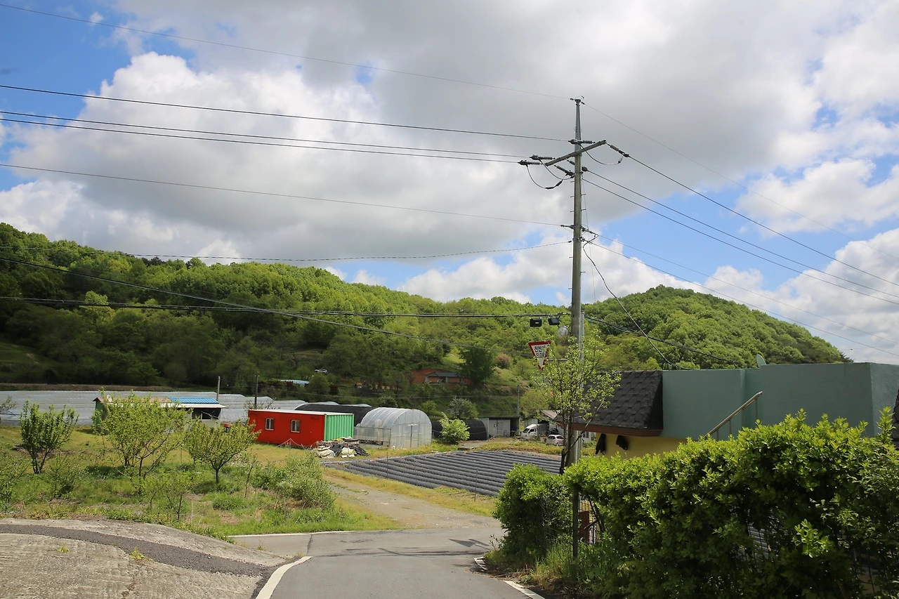 MG0A0746_новый размер.JPG