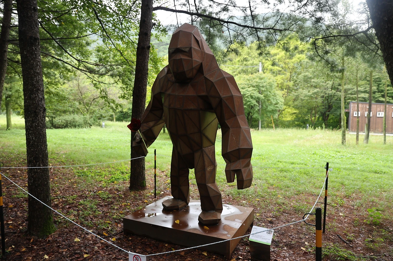 0R5A3890_новый размер.JPG