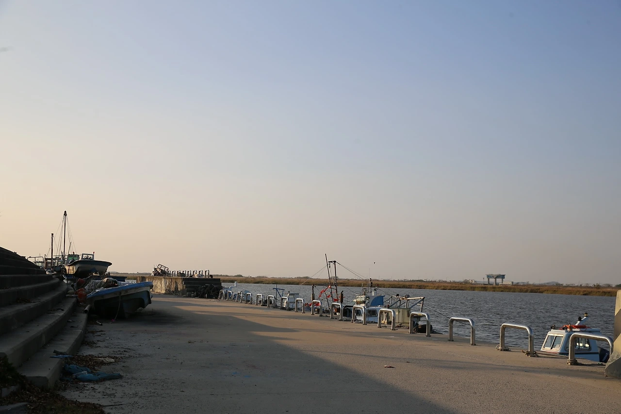 MG0A9001_новый размер.JPG