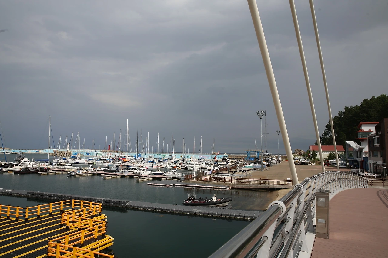 MG0A1107_новый размер.JPG