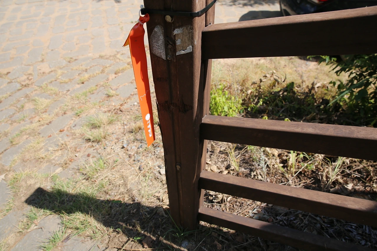 MG0A9252_новый размер.JPG