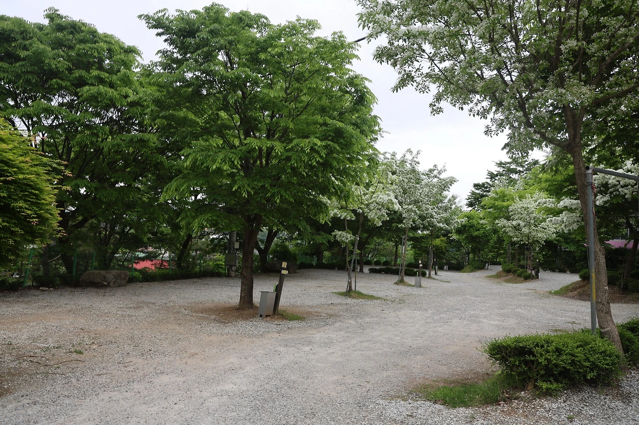 0R5A1297_новый размер.JPG