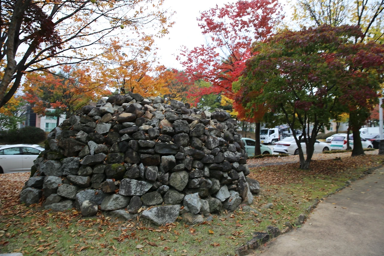 MG0A7699_новый размер.JPG