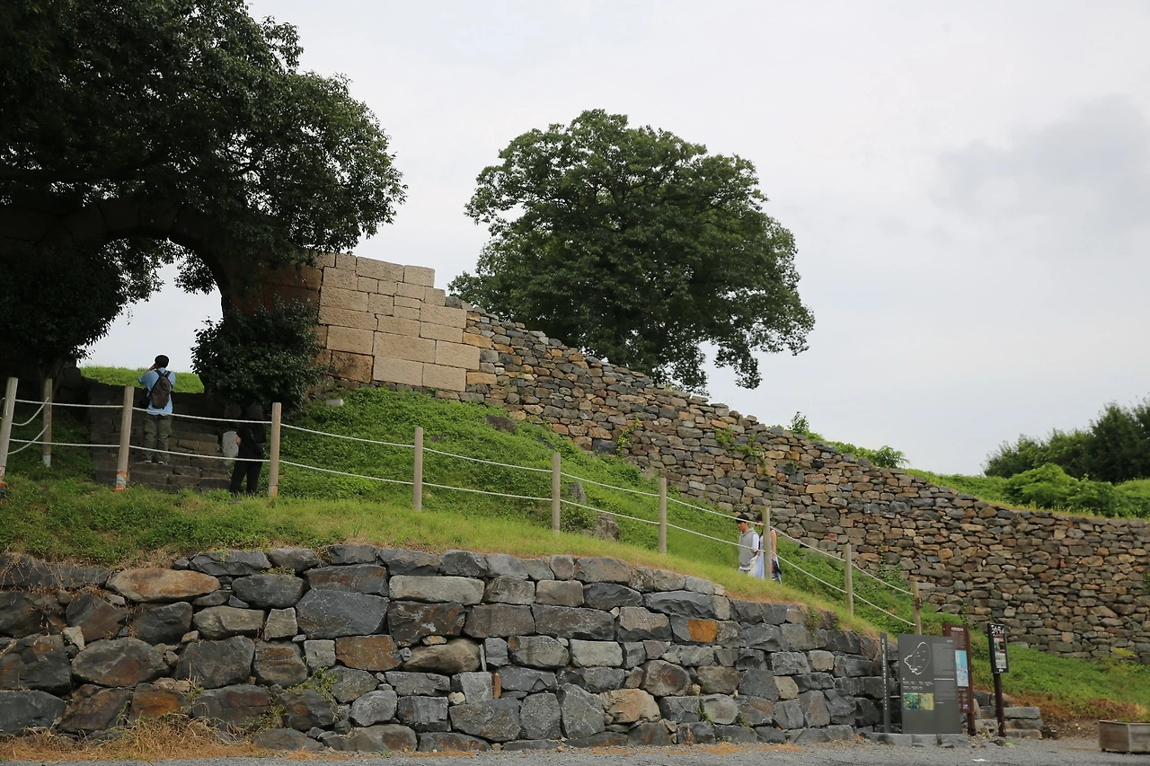 MG0A6098_новый размер.JPG