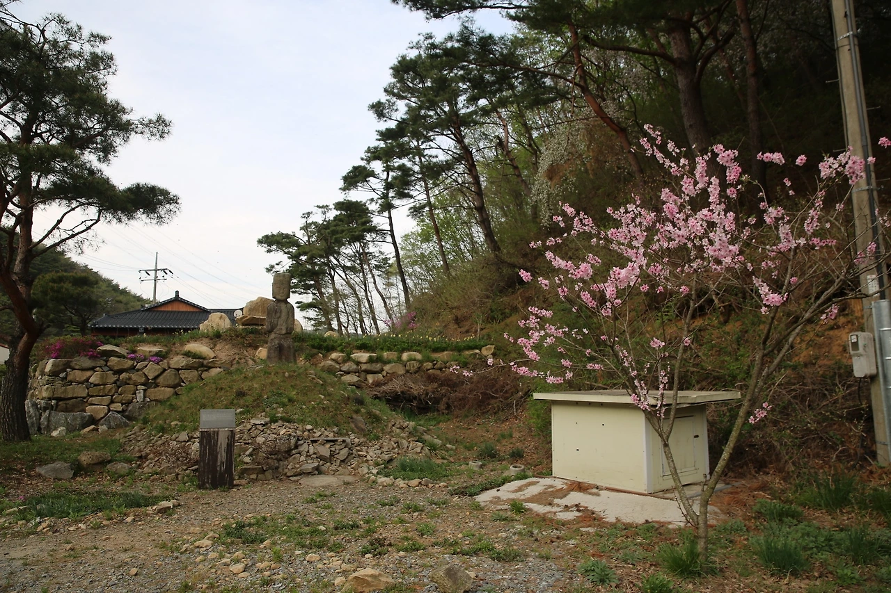 MG0A9519_новый размер.JPG