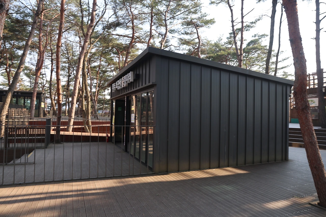 0R5A5564_новый размер.JPG