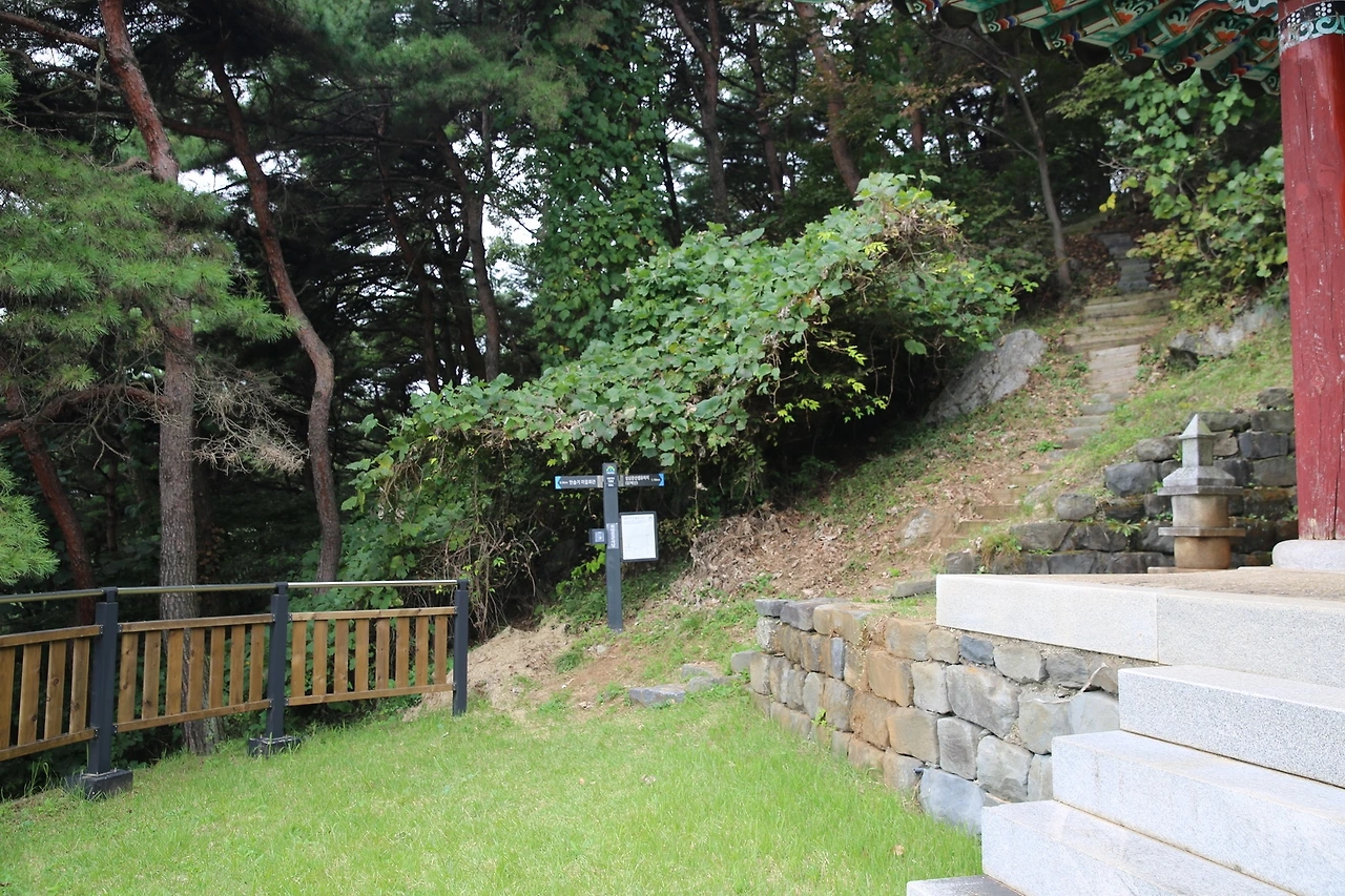 MG0A5151_новый размер.JPG