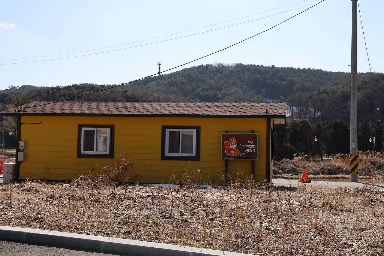 0R5A0220_новый размер.JPG