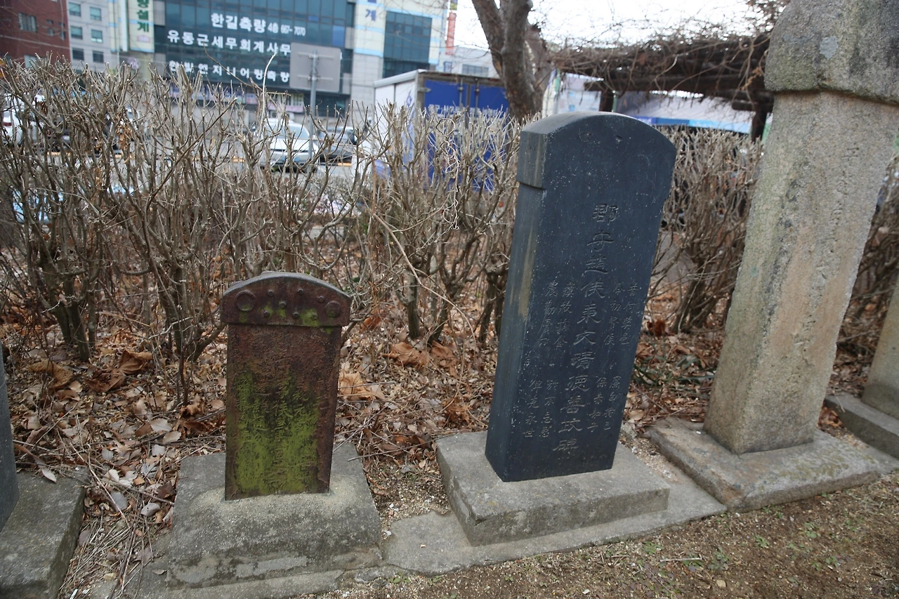 MG0A6741_новый размер.JPG