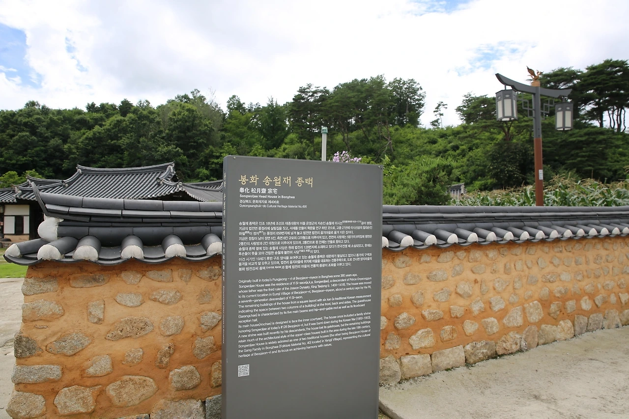 MG0A6662_новый размер.JPG