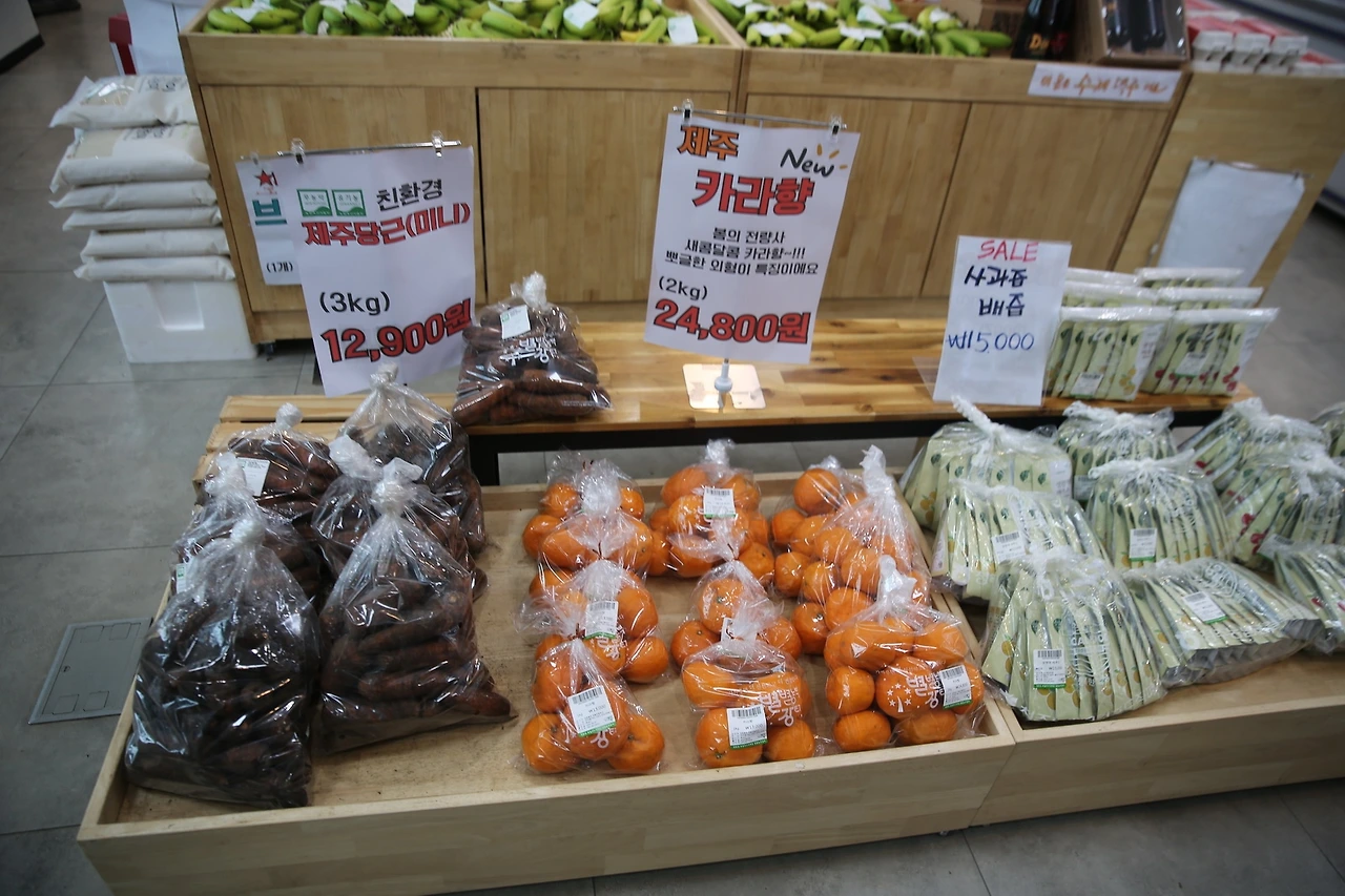 MG0A3169_новый размер.JPG