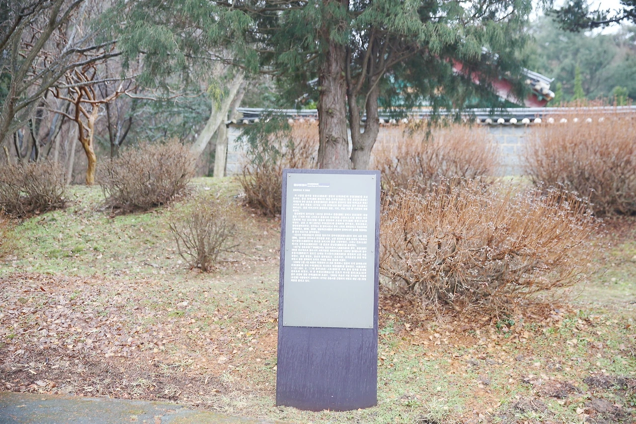 MG0A7110_новый размер_exposure.JPG