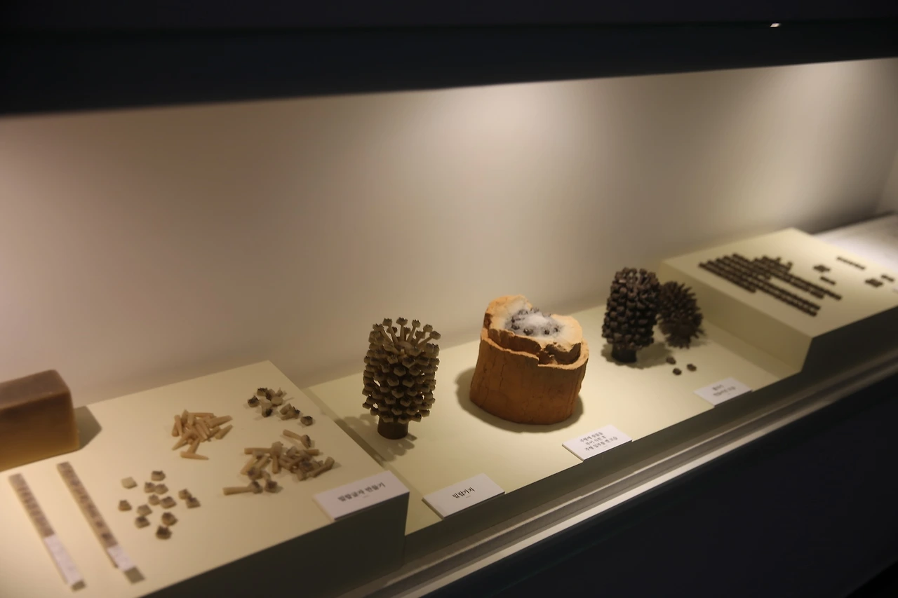 MG0A5509_новый размер.JPG