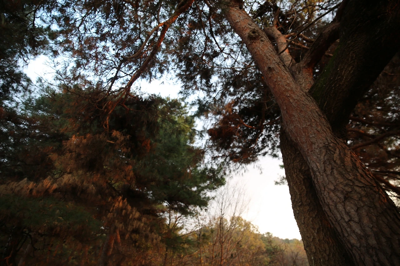 MG0A1318_новый размер.JPG