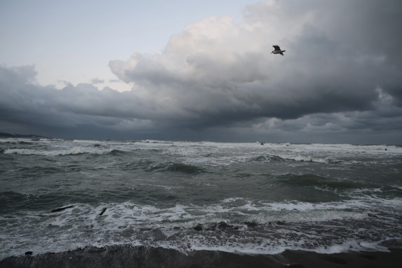 0R5A0807_новый размер.JPG