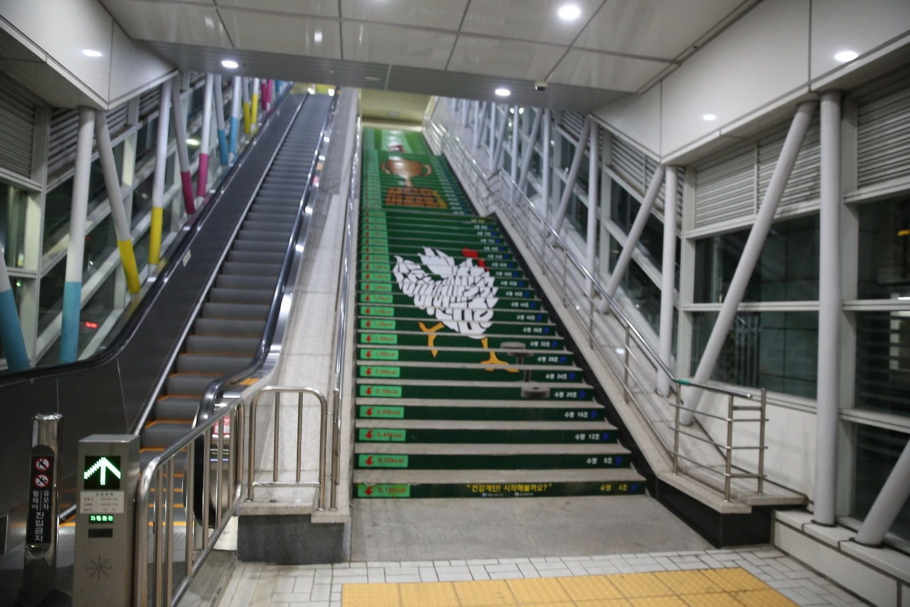 MG0A1477_новый размер.JPG