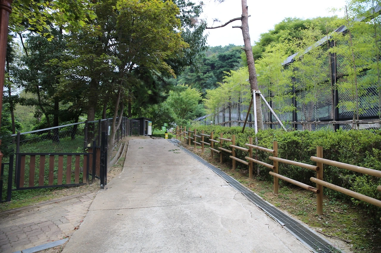 MG0A9624_новый размер.JPG