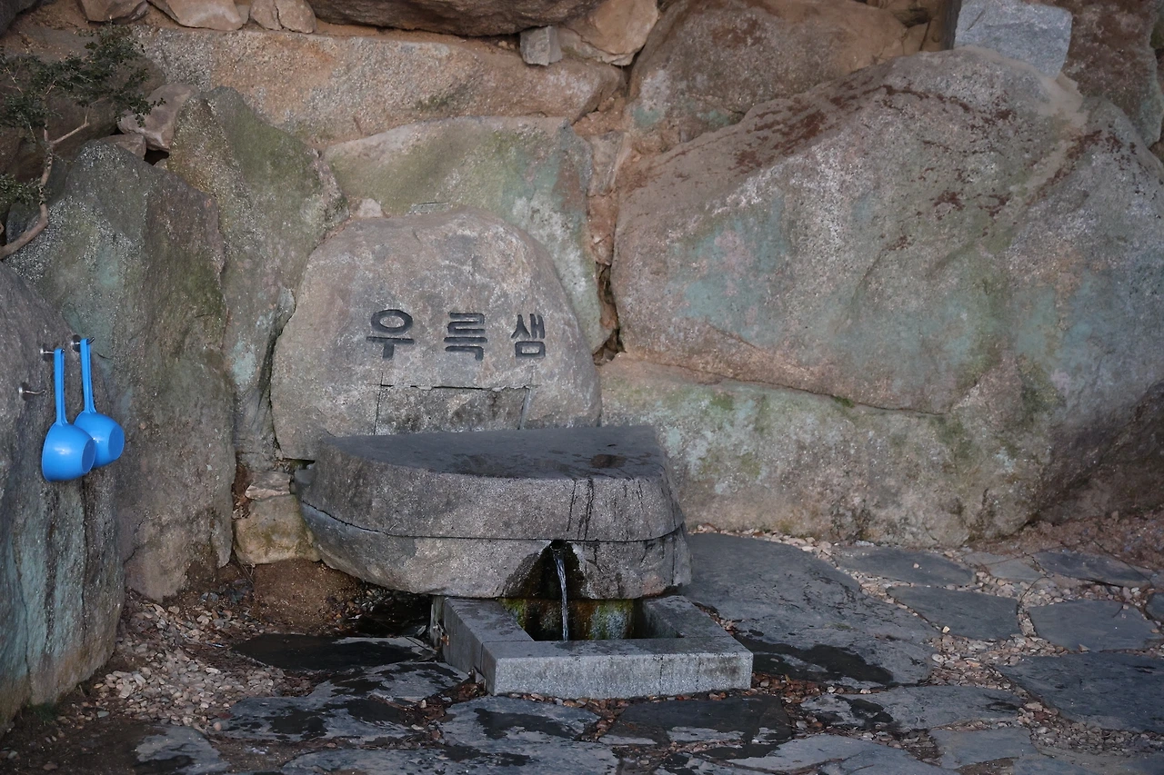 0R5A8262_новый размер.JPG