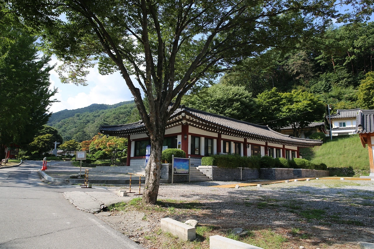 MG0A0505_новый размер.JPG