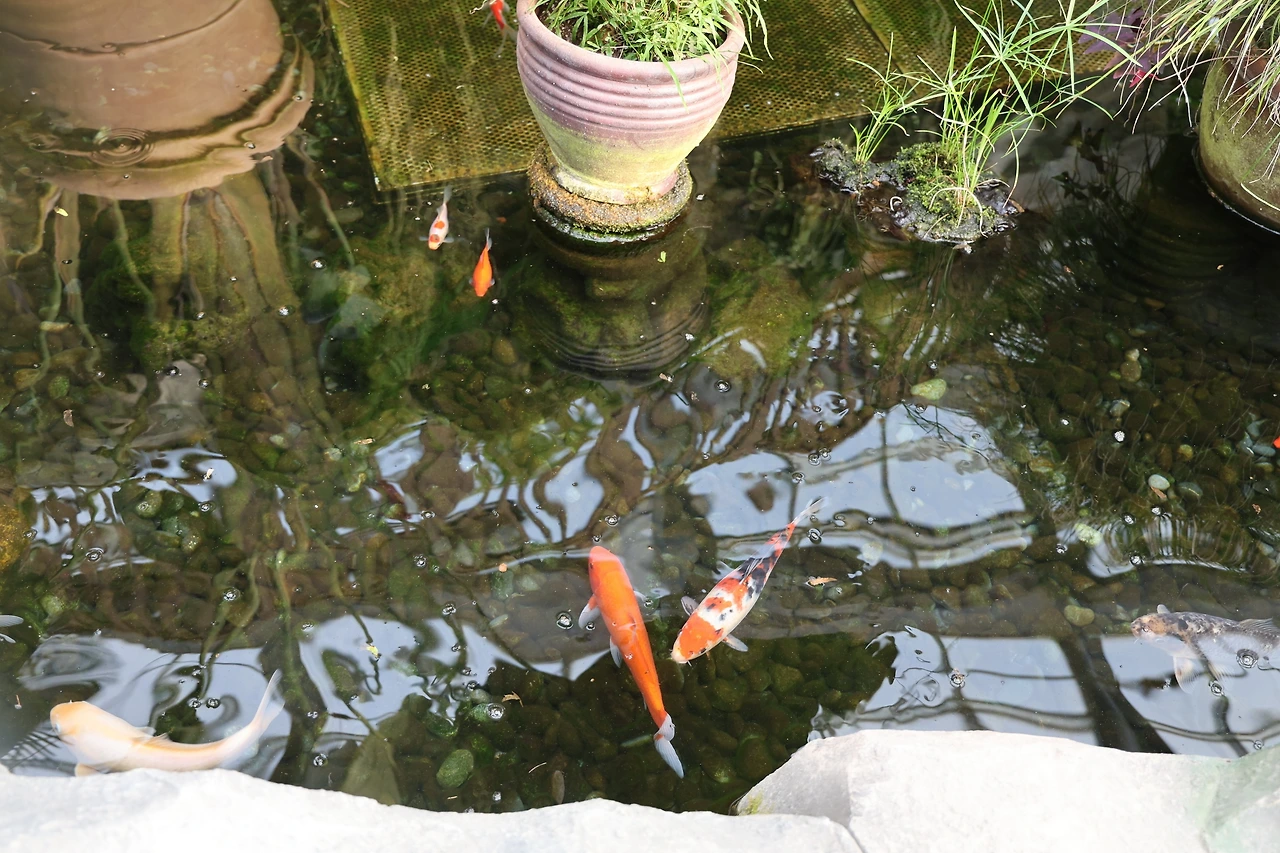 0R5A5016_новый размер.JPG