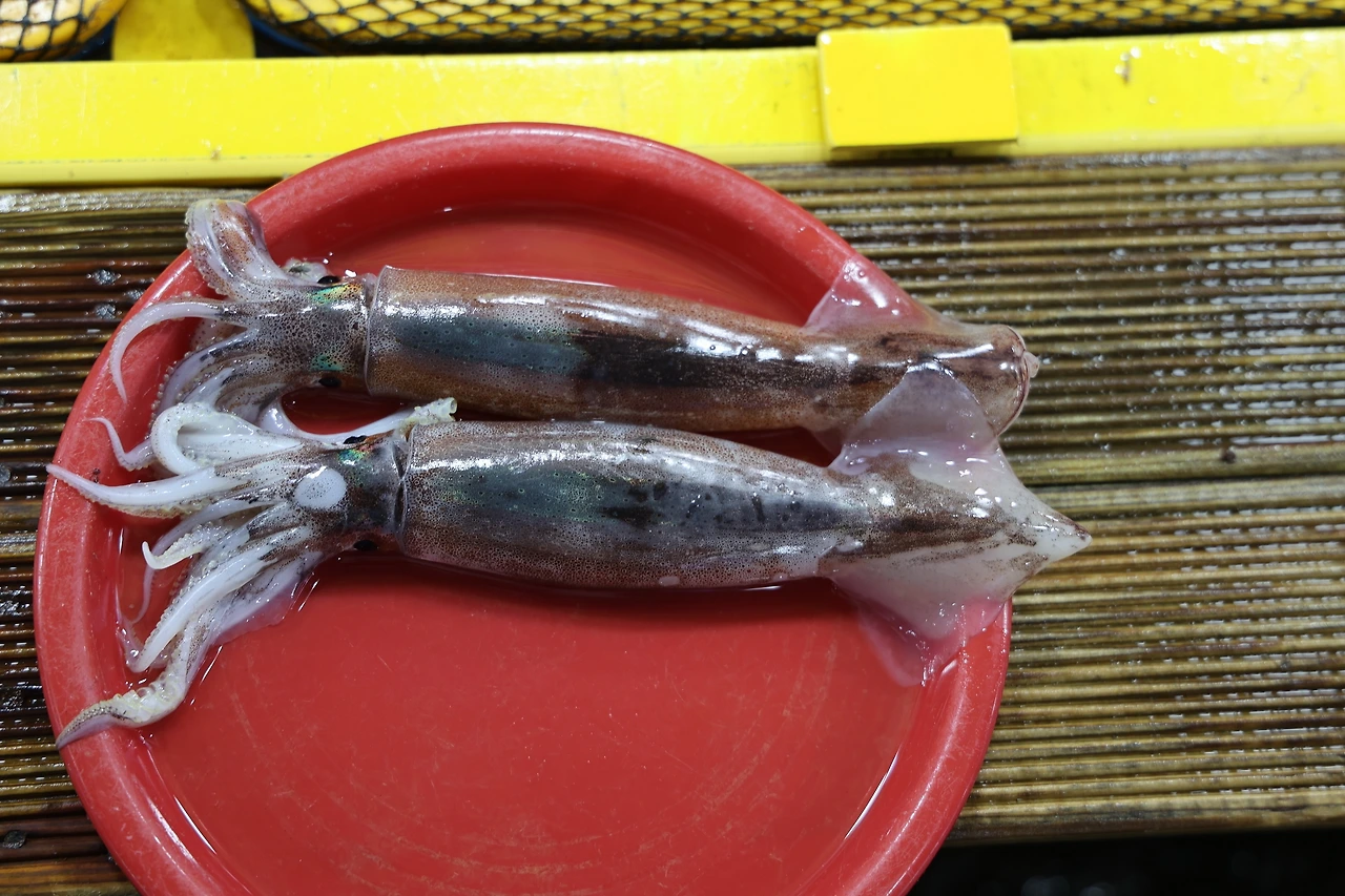 0R5A4291_новый размер.JPG