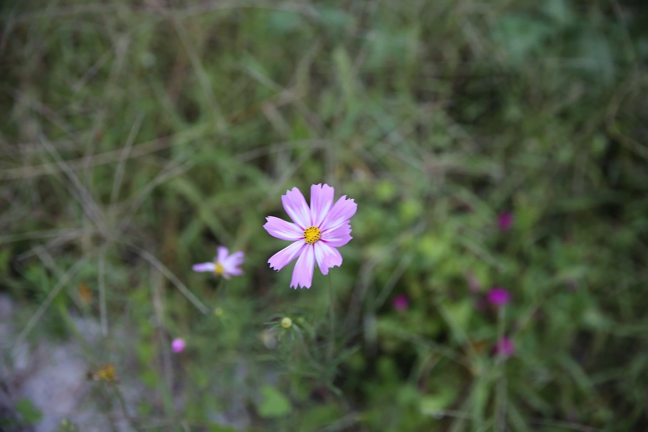 MG0A0630_новый размер.JPG