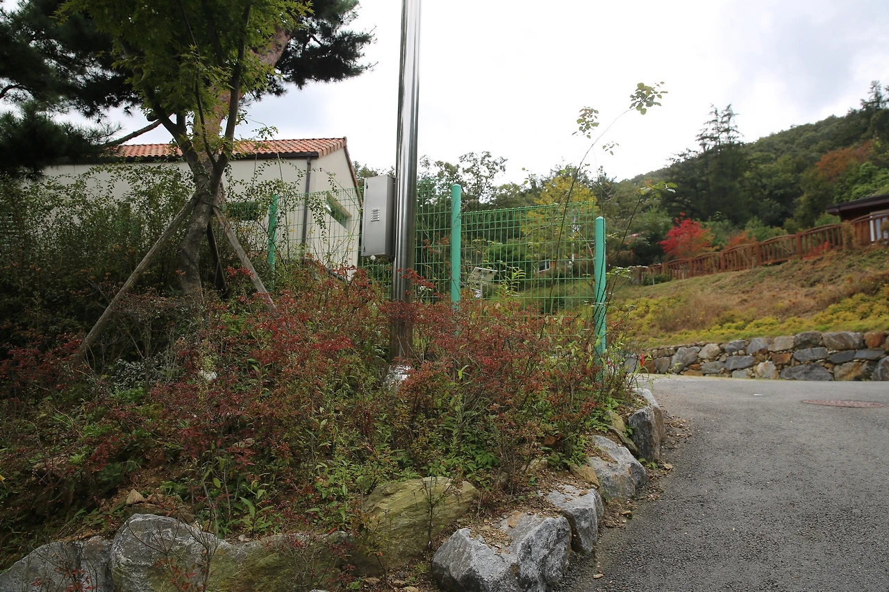 MG0A5585_новый размер.JPG