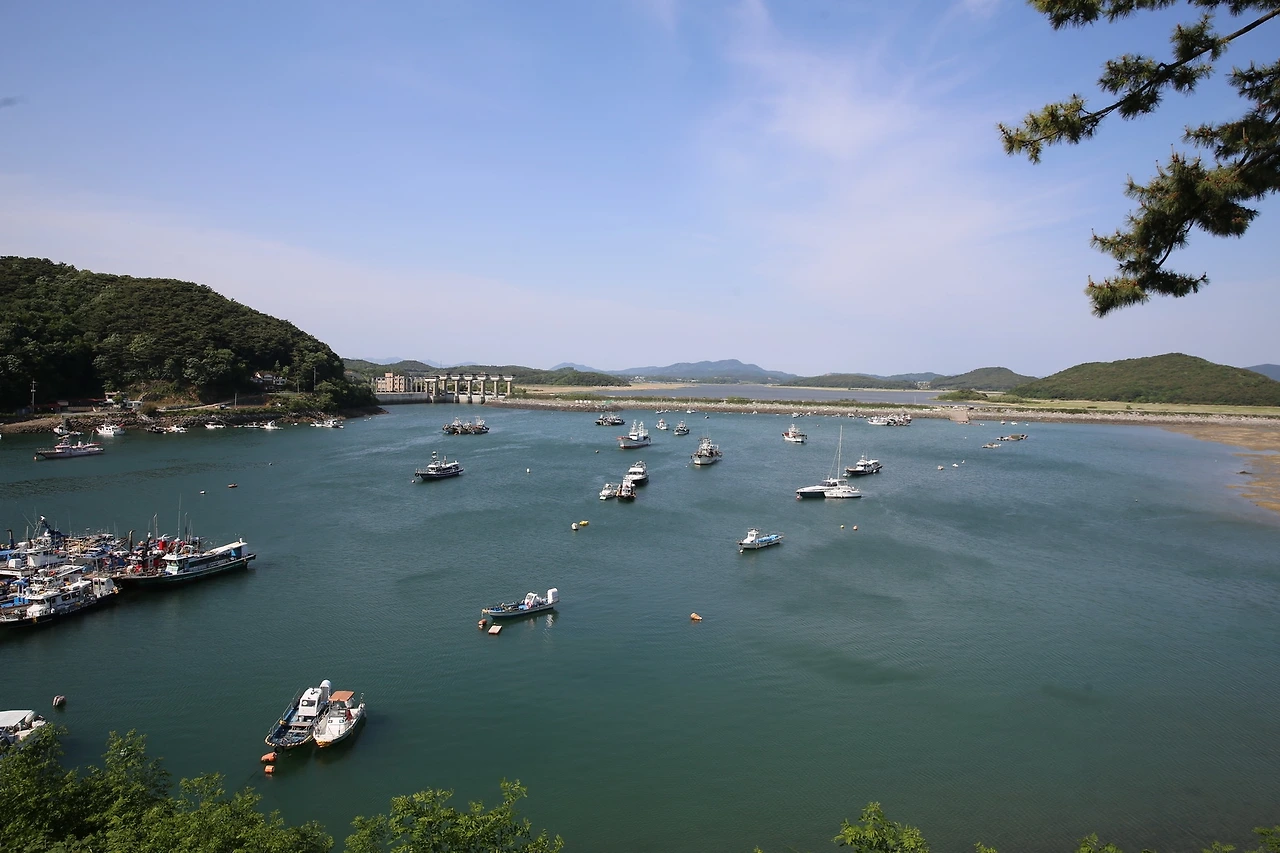 MG0A3946_новый размер.JPG