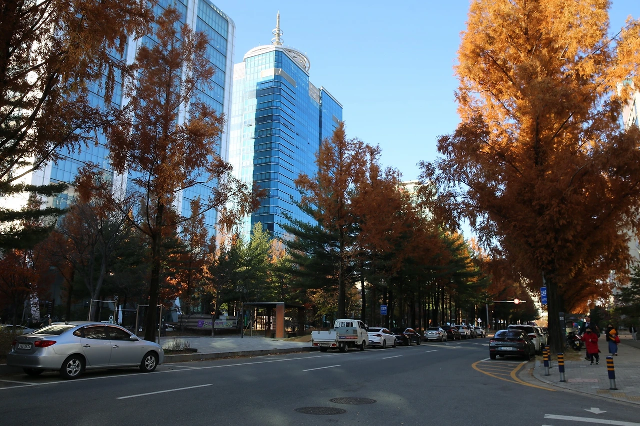 MG0A1509_новый размер.JPG