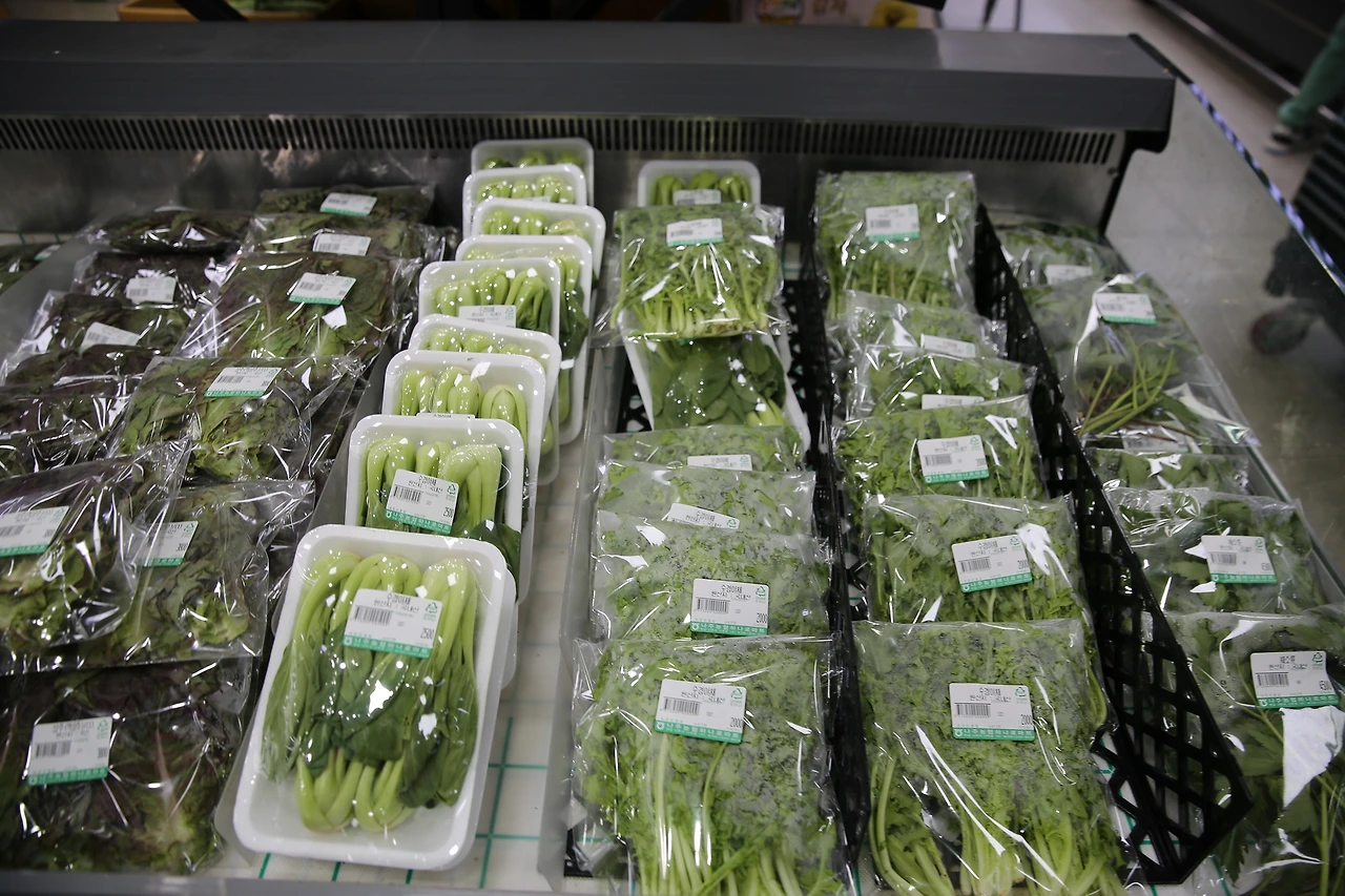 MG0A3016_новый размер.JPG