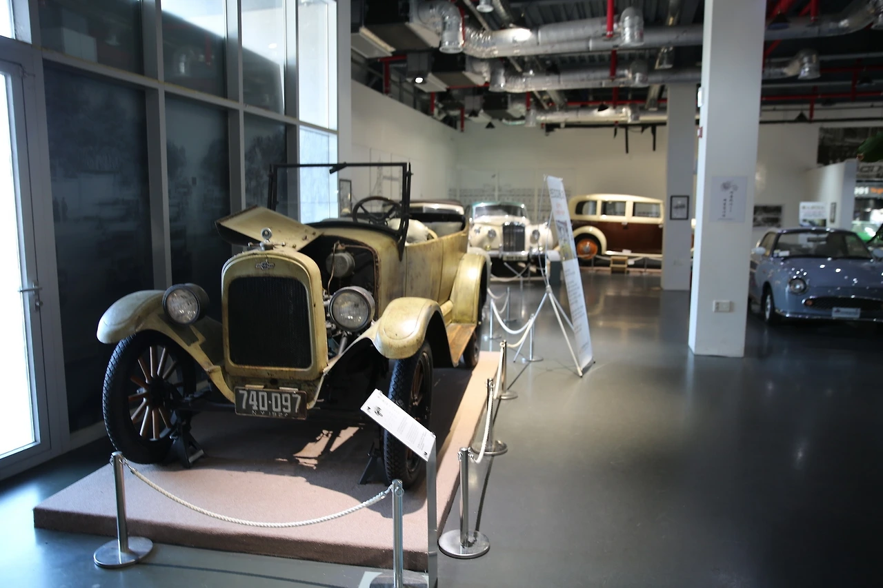 MG0A6916_новый размер.JPG