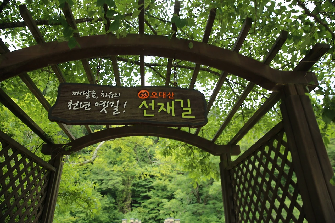 MG0A0771_новый размер - 복사본.JPG