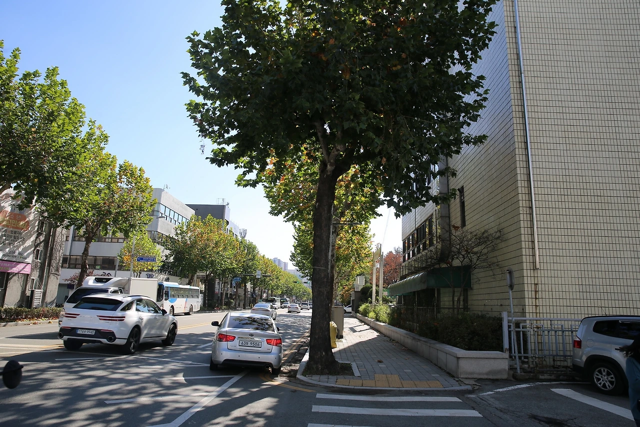 MG0A0091_новый размер.JPG