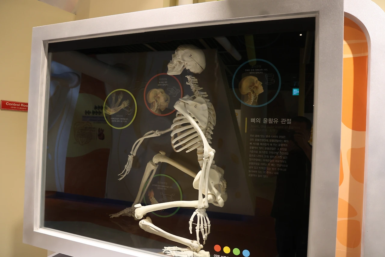 0R5A6575_новый размер.JPG