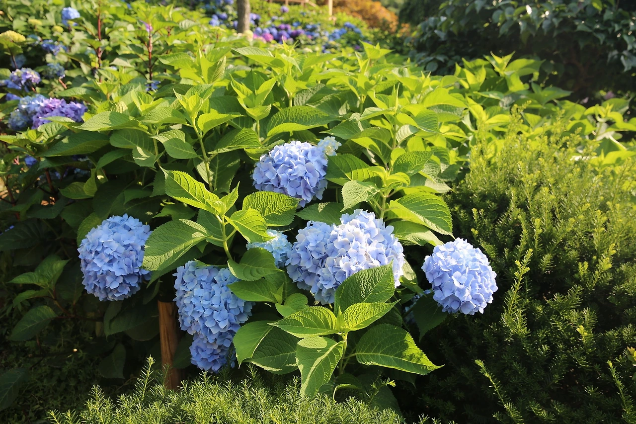 MG0A3107_новый размер.JPG