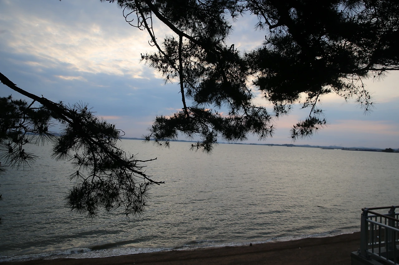 MG0A2035_новый размер.JPG