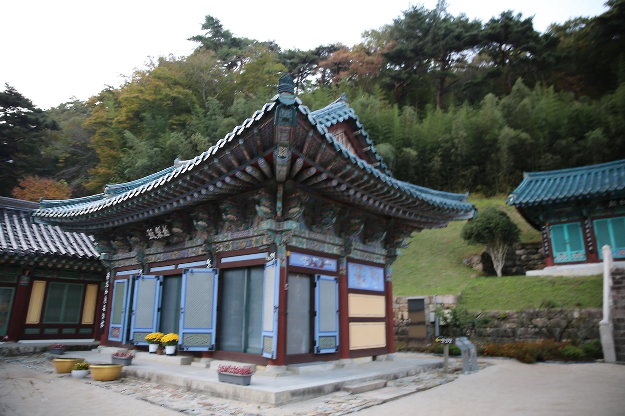 MG0A8372_новый размер.JPG