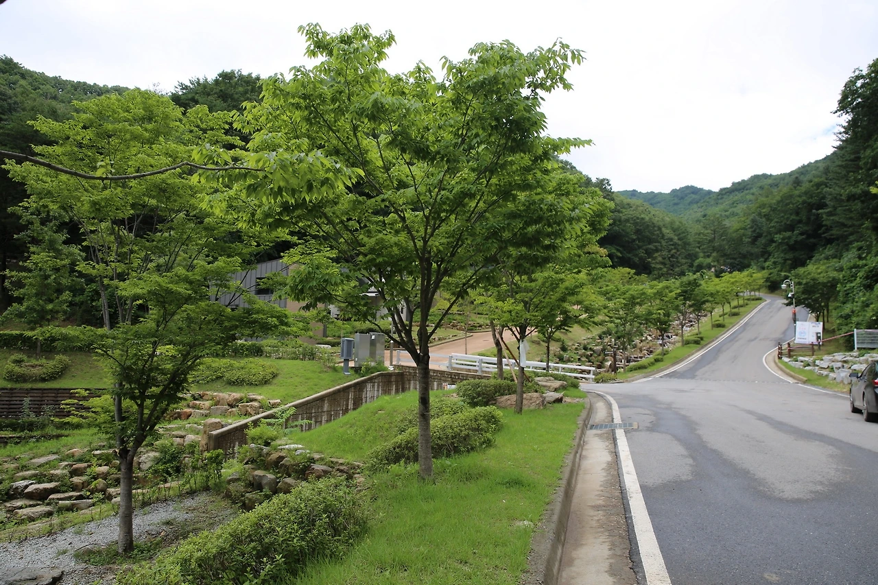 MG0A6548_новый размер.JPG