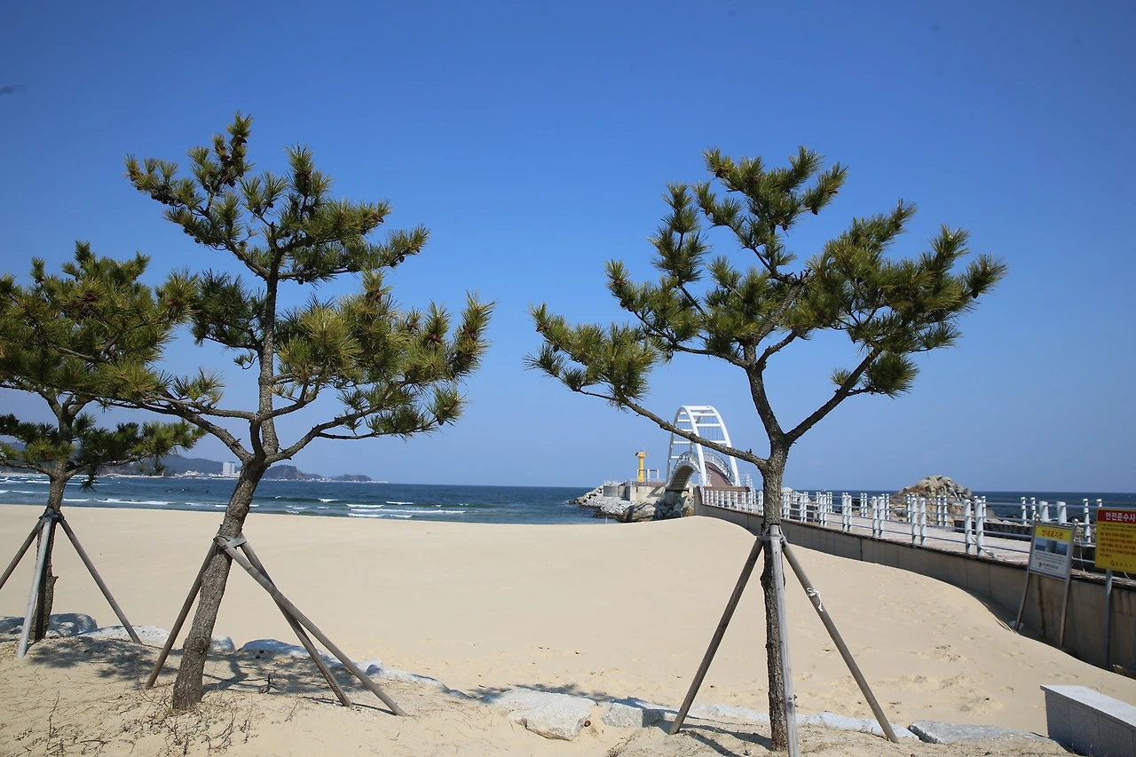 MG0A5118_новый размер.JPG