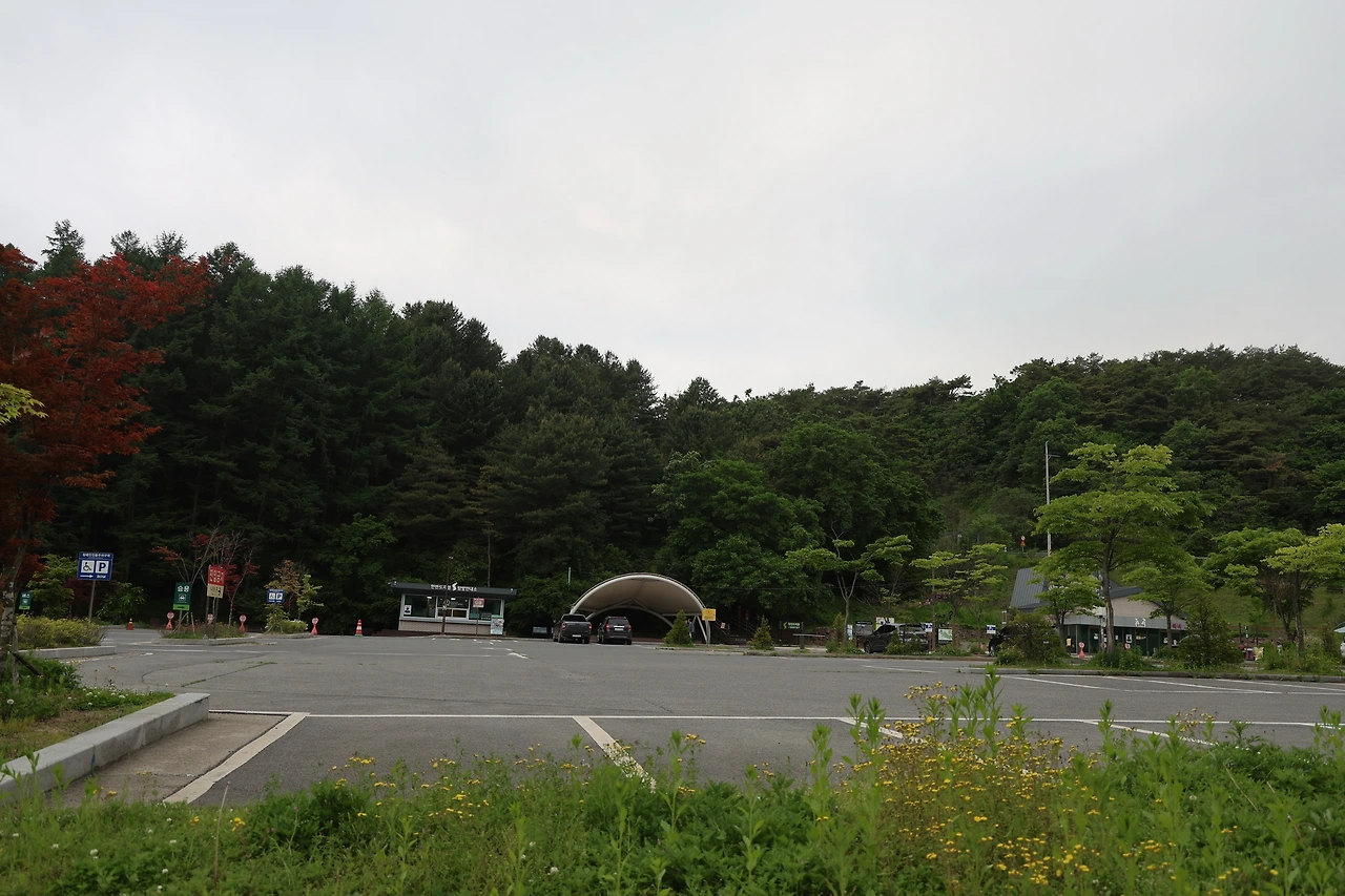 0R5A1241_новый размер.JPG