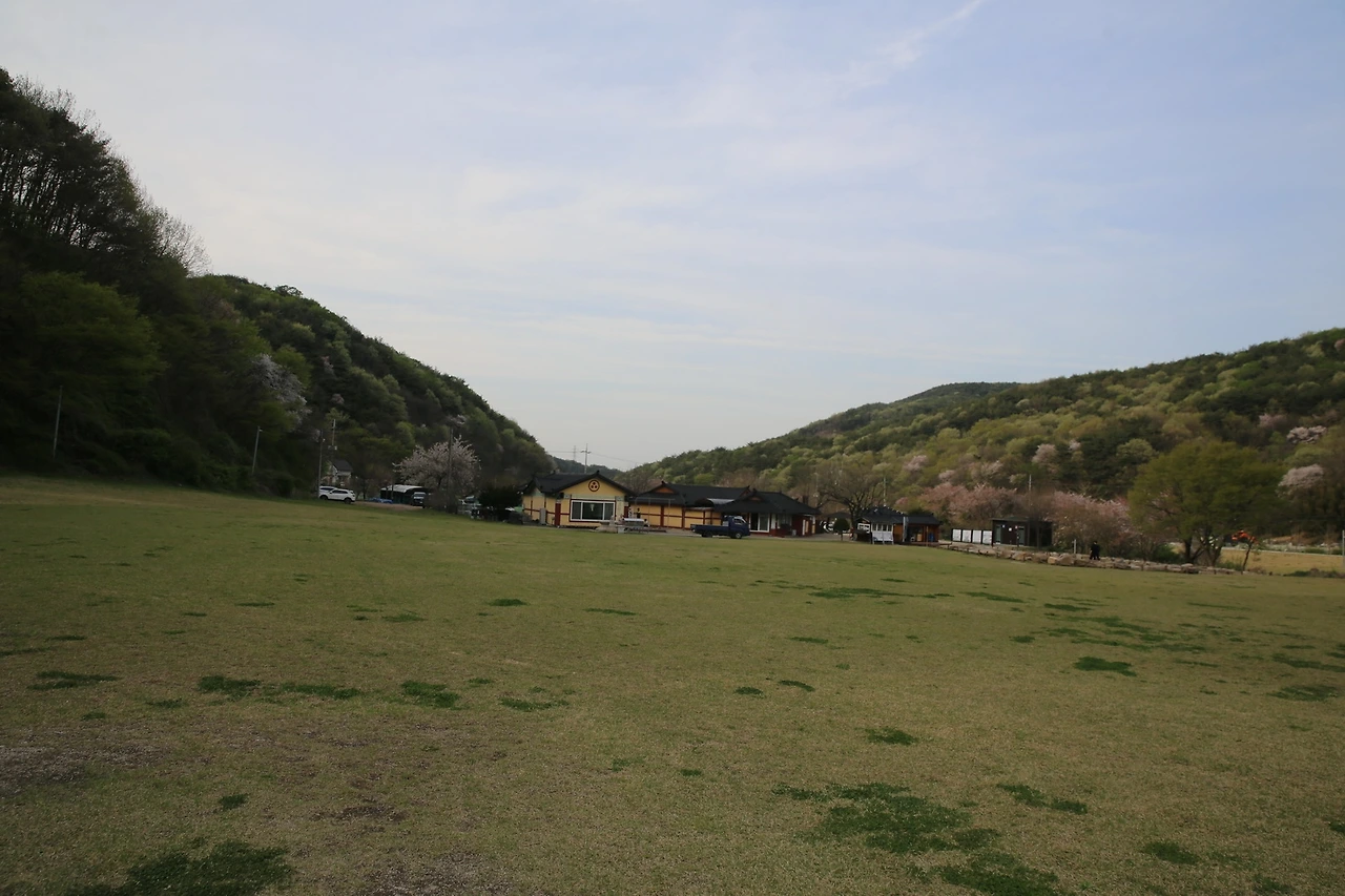 MG0A9498_новый размер.JPG